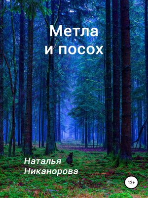 cover image of Метла и посох